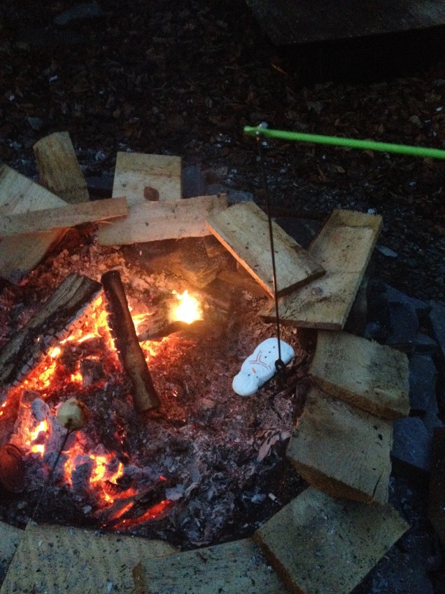 It was so warm on christmas that we made a campfire and roasted marshmallows